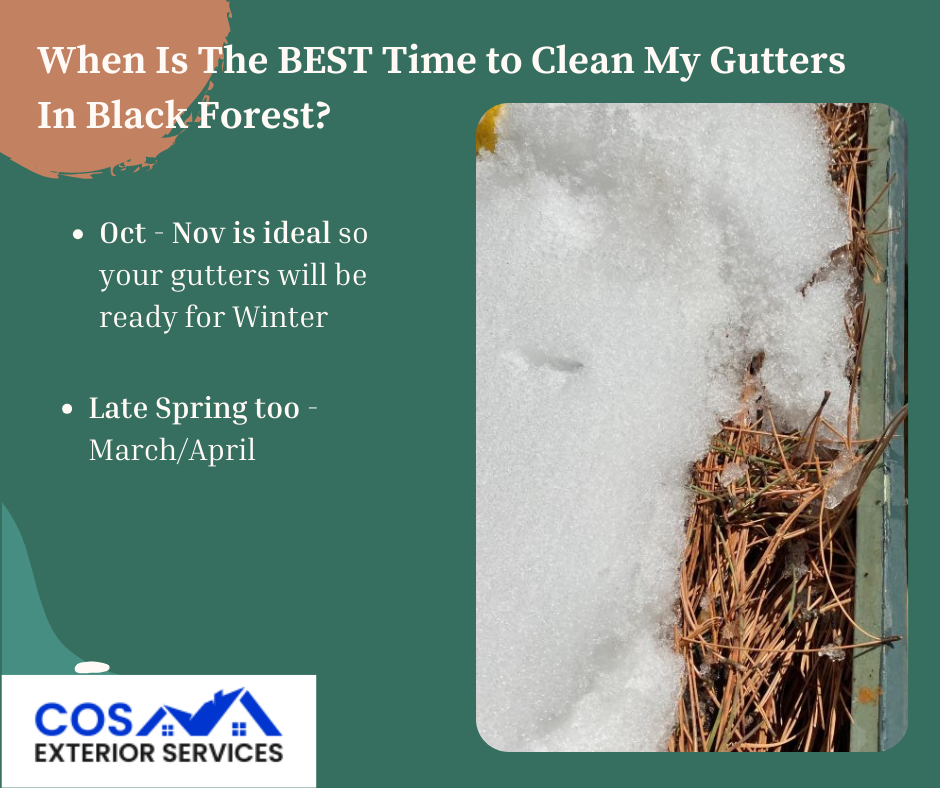 Black Forest Gutter Cleaning In The Winter By COS Exterior Services